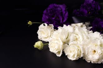 Servicio de floristería